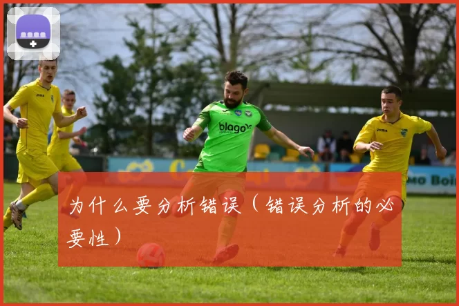 为什么要分析错误（错误分析的必要性）