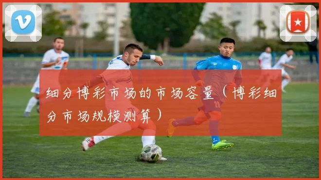 细分博彩市场的市场容量（博彩细分市场规模测算）