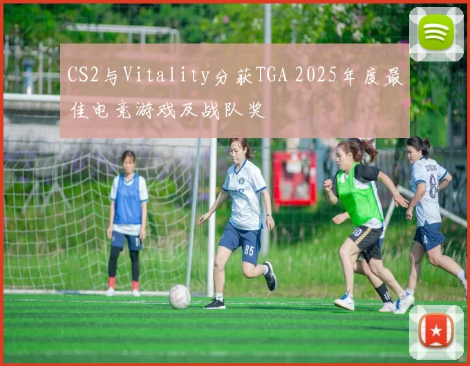 CS2与Vitality分获TGA 2025年度最佳电竞游戏及战队奖