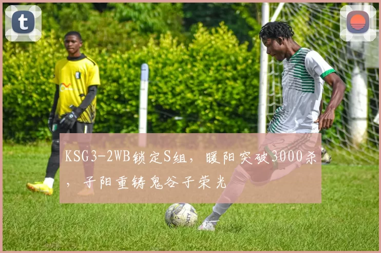 KSG3-2WB锁定S组，暖阳突破3000杀，子阳重铸鬼谷子荣光