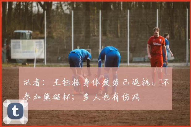 记者：王钰栋身体疲劳已返杭，不参加熊猫杯；多人也有伤病