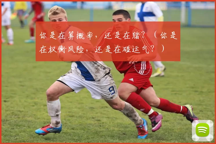 你是在算概率，还是在赌？（你是在权衡风险，还是在碰运气？）