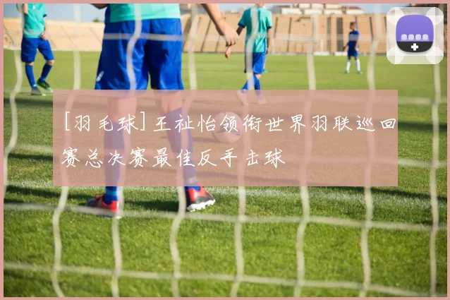 [羽毛球]王祉怡领衔世界羽联巡回赛总决赛最佳反手击球