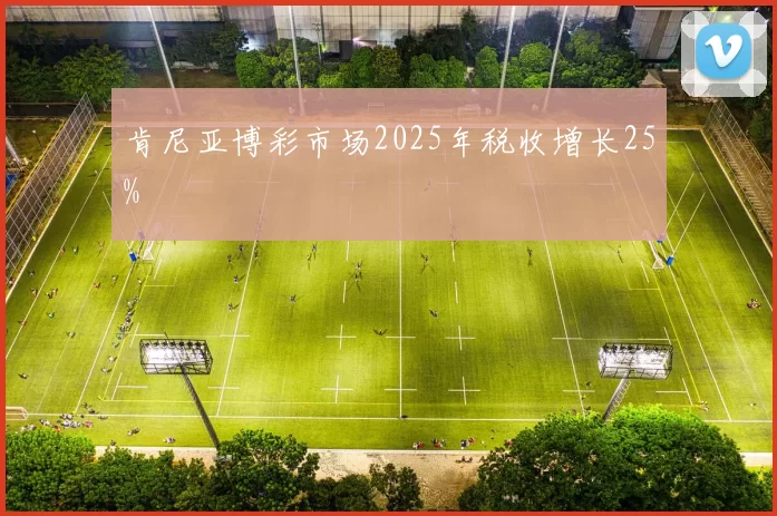 肯尼亚博彩市场2025年税收增长25%