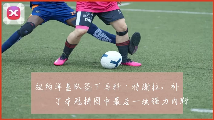纽约洋基队签下马科·特谢拉，补强了夺冠拼图中最后一块强力内野火力