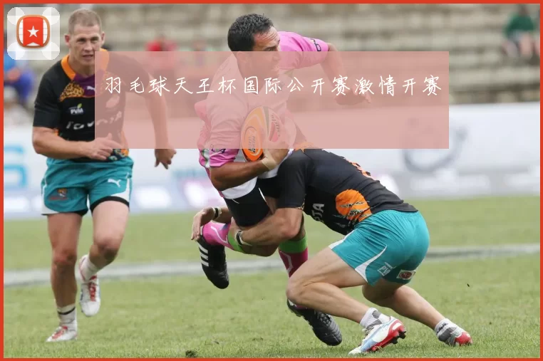 羽毛球天王杯国际公开赛激情开赛