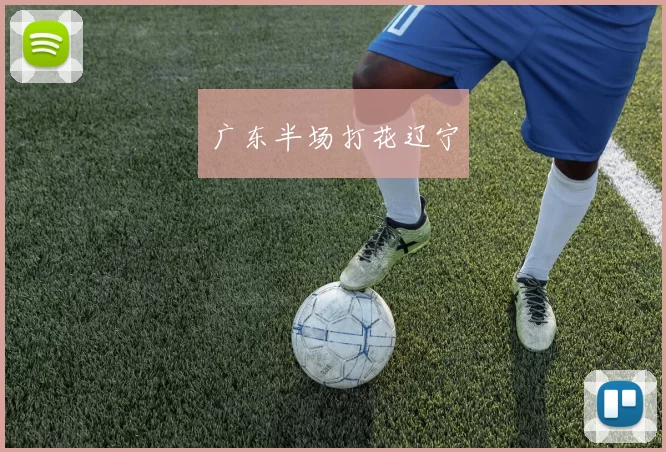 广东半场打花辽宁