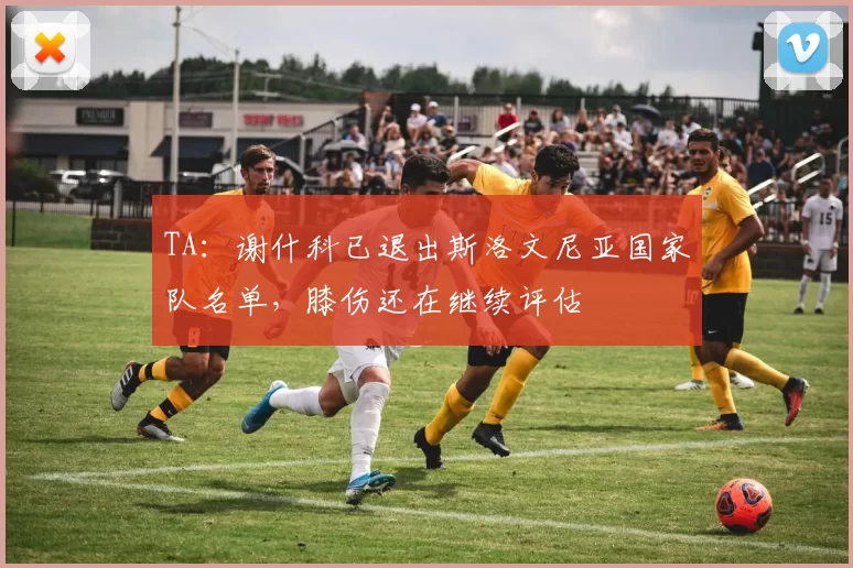 TA：谢什科已退出斯洛文尼亚国家队名单，膝伤还在继续评估