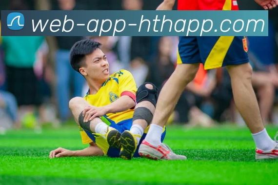 华体会官网平台生态图